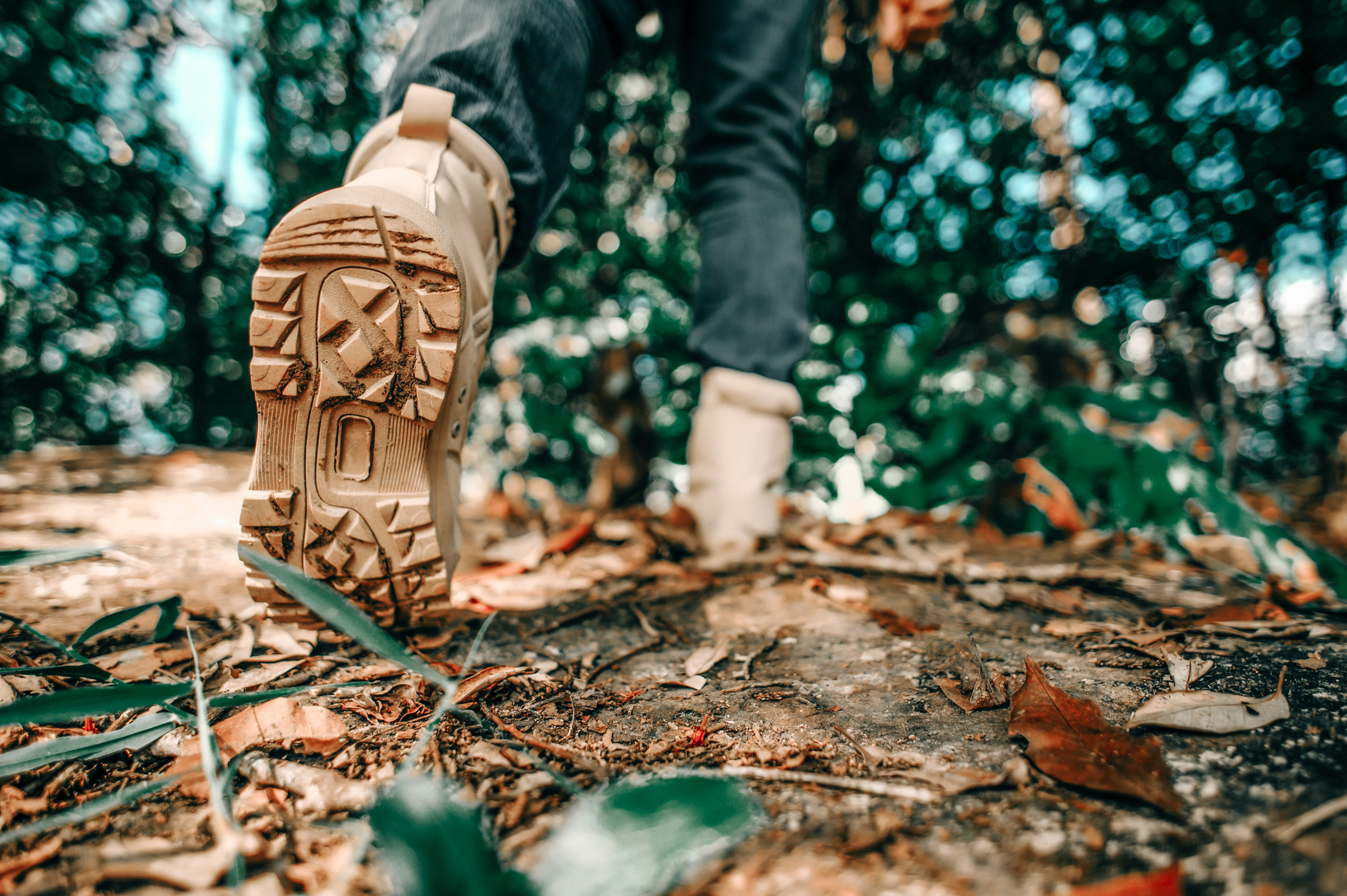 Close up shoes of Hiker walking in the forest Trail
